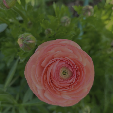 Early Summer Flower Subscription - Jar Bouquet, 2026